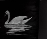 Le cygne blanc (vue dans l'obscurité) - Peintures photoluminiscentes