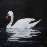Le cygne blanc - Peintures photoluminiscentes